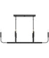 Reines 6-Light Linear Chandelier Matte Black
