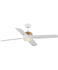 Ceiling Fans with Lights
