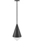 Betty 1-Light Small Pendant in Black