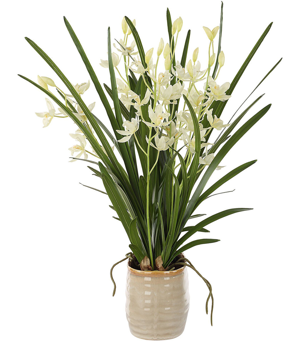 Ariana Orchid Planter