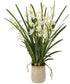 Ariana Orchid Planter