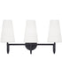 Averitt 3-Light Vanity Matte Black