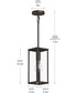 Ryle 1-Light Outdoor Pendant Light with Clear Glass Panels Antique Bronze