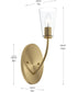 Jheni 1-Light Wall Sconce with Clear Glass Shades Brushed Gold