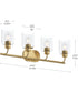 Reines 4-Light Bath Vanity with Clear Glass Shades Brushed Gold