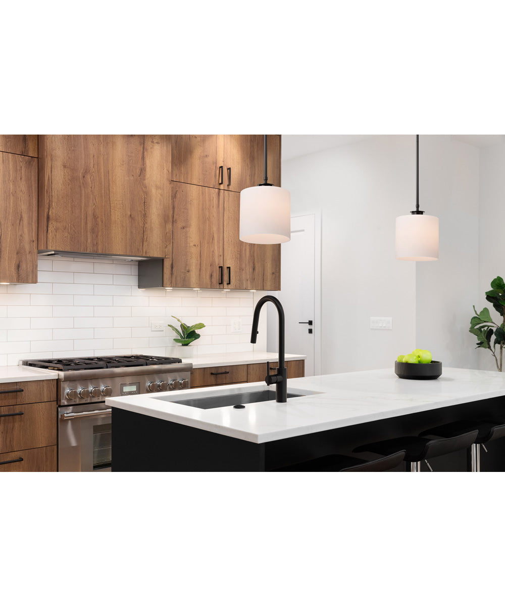 Warren 1-Light Pendant Gun Metal