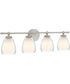 Vivienne 4-light Bath Light Brushed Nickel