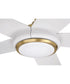 Frye 52" 5-Blade Indoor ceiling Fan 1-Light Fan Satin Brass