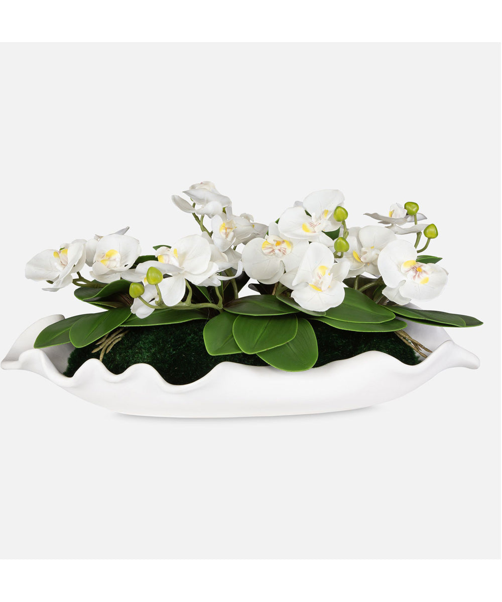 Opulence Orchid Centerpiece With Bowl
