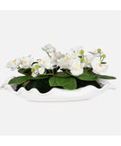 uttermost