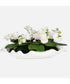Opulence Orchid Centerpiece With Bowl