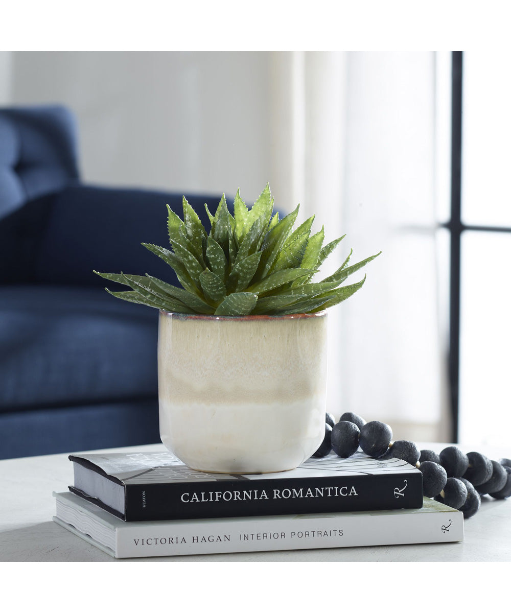 Doha Succulent Accent