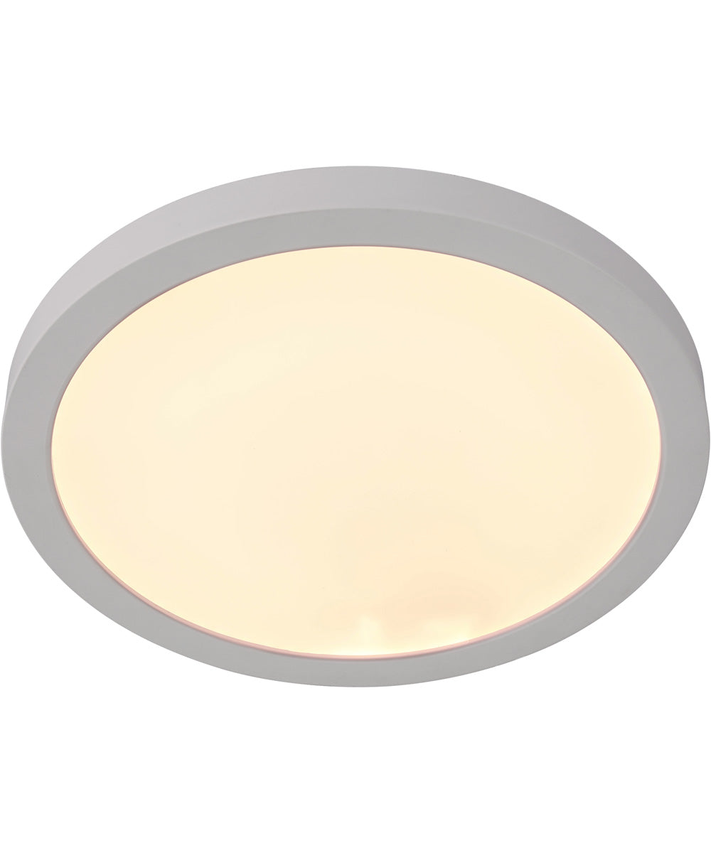 Slim Line II 1-Light Lighting White