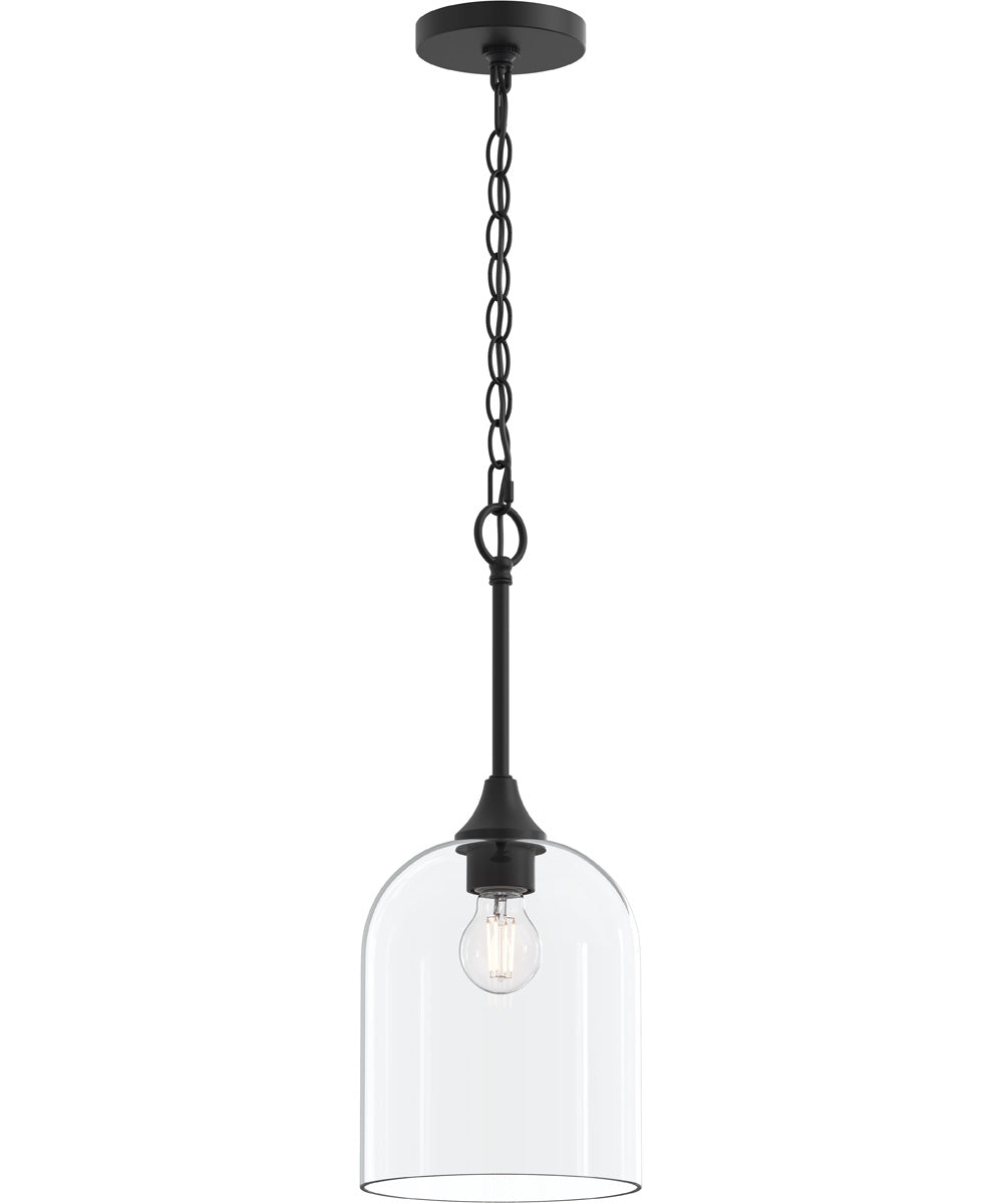 Ilia 1-Light Pendant with Clear Glass Shade Matte Black