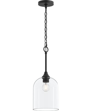 Ilia 1-Light Pendant with Clear Glass Shade Matte Black