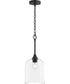 Ilia 1-Light Pendant with Clear Glass Shade Matte Black