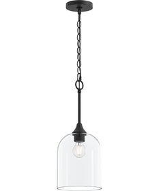 Ilia 1-Light Pendant with Clear Glass Shade Matte Black