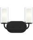 Mack 2-Light Vanity Light with Layered Glass Shades Matte Black