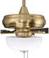 EOS 2 Light Frosted White Bowl 52" Ceiling Fan 2-Light Fan Satin Brass