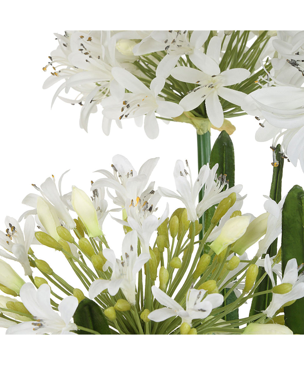 Purity Agapanthus Centerpiece