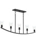 Jheni 5-Light Linear Chandelier with Clear Glass Shades Matte Black