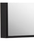 21x31" Wall Mirror with Black Frame