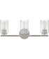 Leta 3-Light Medium Three Light Vanity in Brushed Nickel