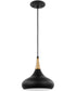 Phoenix 1-Light Pendant Matte Black / Burnished Brass