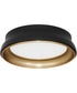 Legend Ceiling Flush Mount Matte Black|Brushed Brass