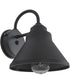 Resilience Lanterns 1-Light Outdoor Lighting Textured Black