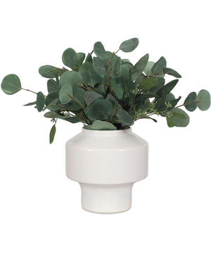 Essence Eucalyptus Accent & Vase