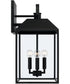 Nelson 4-Light Outdoor Wall-Lantern Black