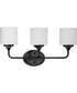 Lynzie 3-Light Etched Opal Glass Modern Bath Vanity Light Matte Black