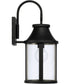 Bridger 1-Light Outdoor Wall-Lantern Black