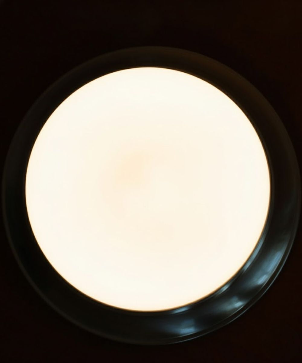 13"w 1-Light LED Flush Mount Ceiling Light Fixture Brushed Nickel Finish by RP Lighting