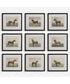 Equine Dynasty Framed Prints, Set of 9