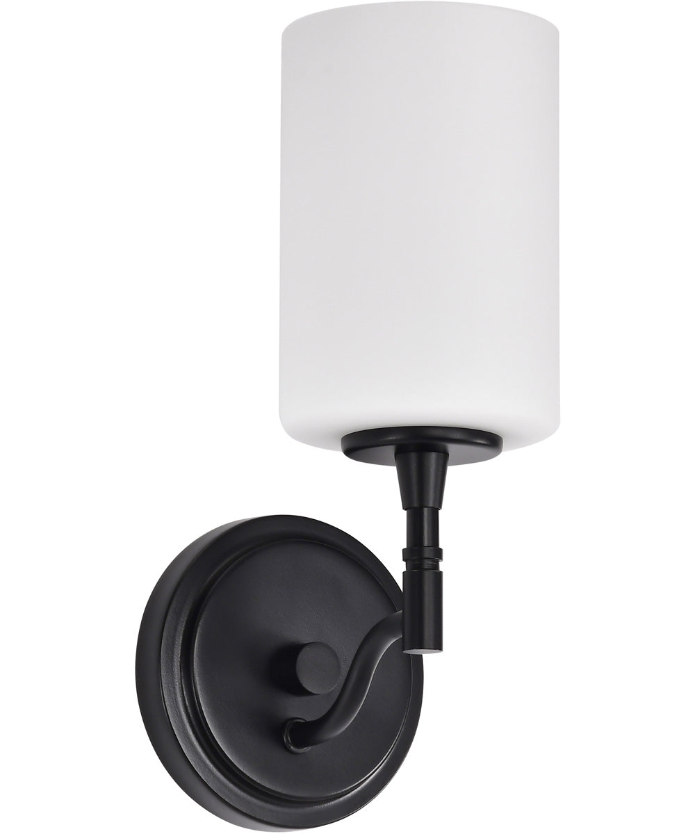 Liam 1-Light Vanity & Wall Matte Black