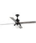 Gillen 56" 4-Blade LED Indoor/Outdoor Vintage Electric Ceiling Fan with Light Kit Clear Glass Shade Matte Black