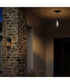 Shaw 17 Inch 1 Light Outdoor Pendant with Clear Glass Textured Black