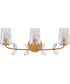 Aliso 3-Light Medium Three Light Vanity in Distressed Brass