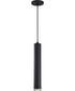 Century  Pendant Matte Black / Brushed Nickel