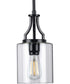 Lassiter 1-Light Clear Glass Modern Pendant Light Matte Black