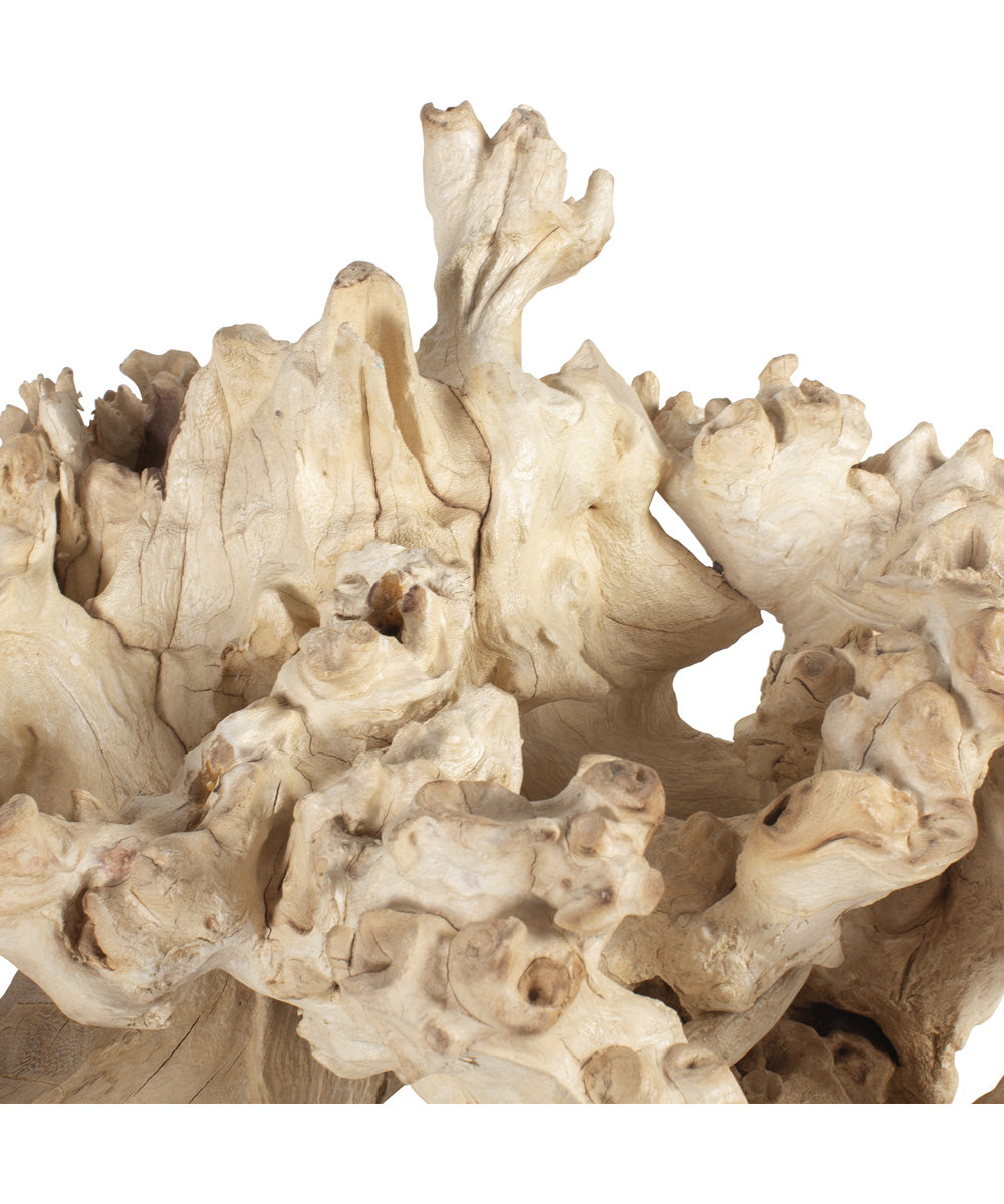 Elemental Root Outdoor Sculptures Set of 2