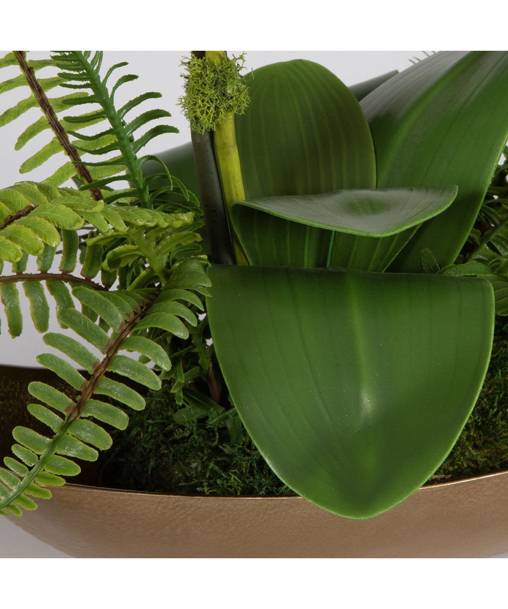 Transcend Orchid Centerpiece