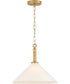 Cove 1-Light Medium Pendant in Lacquered Brass