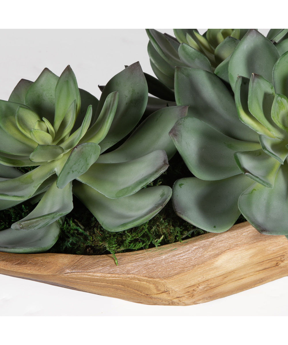 Yuma Succulent Centerpiece