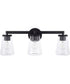 Aaron 3-Light Vanity Matte Black