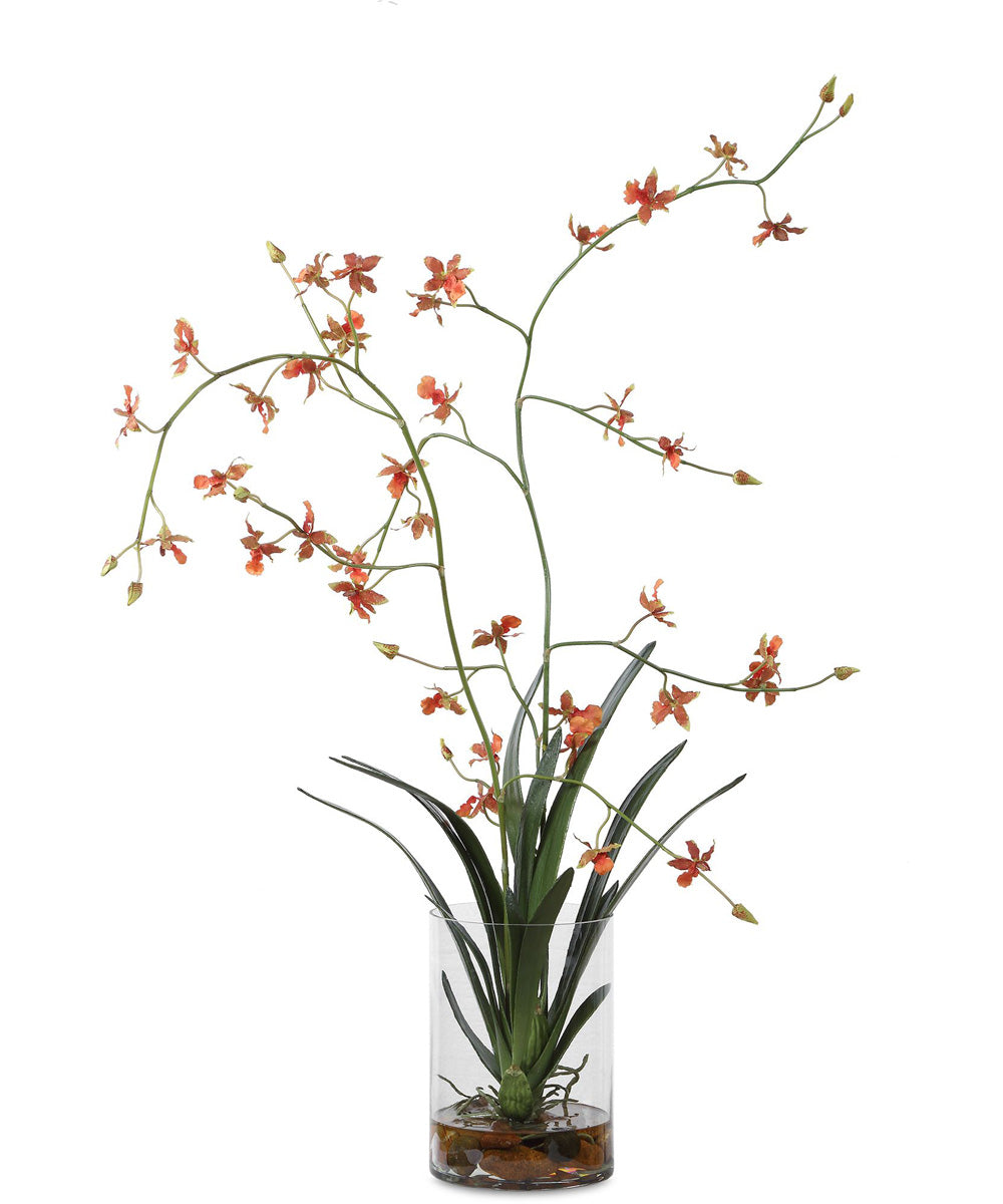 Dancing Orchid In Glass Vase