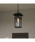 Morgan 1-light Outdoor Pendant Light Earth Black