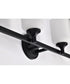 Solara 4-Light Vanity & Wall Matte Black